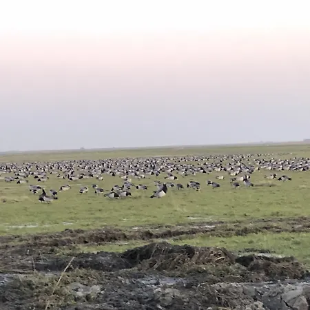 Motel Apartments 3* Tønder